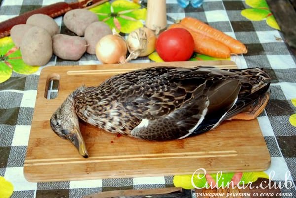 Супчик из дикой утки на огне