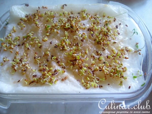 Сельдерейно-яблочный суп-пюре с беконом и кресс-салатом