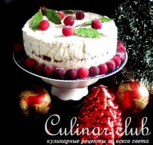 Iced Christmas Torte -     ( )