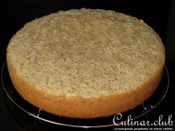 Ореховый торт в облепиховом желе (Тест - драйв)