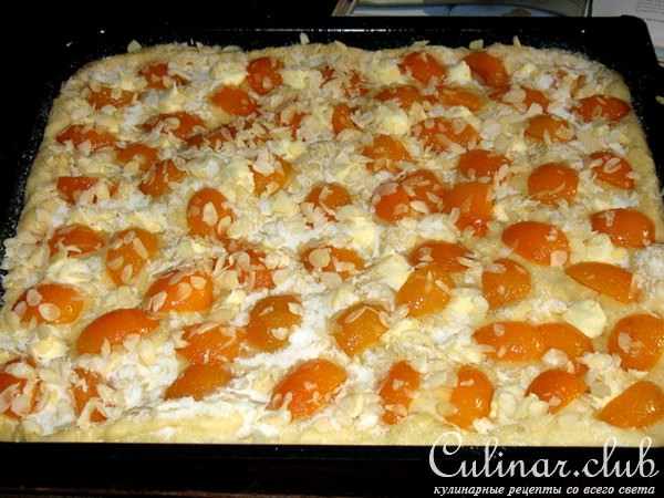 Абрикосово-масляный пирог (Aprikosen-Butterkuchen)
