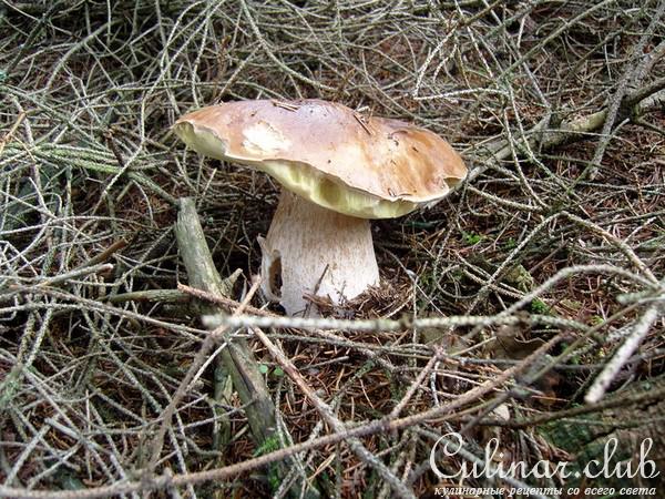 Грибы маринованные с чесноком